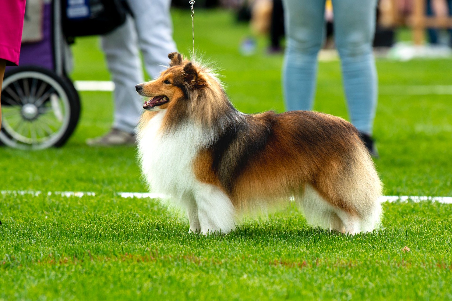 2v (kuvaaja: Hanna D-K Kuvat)