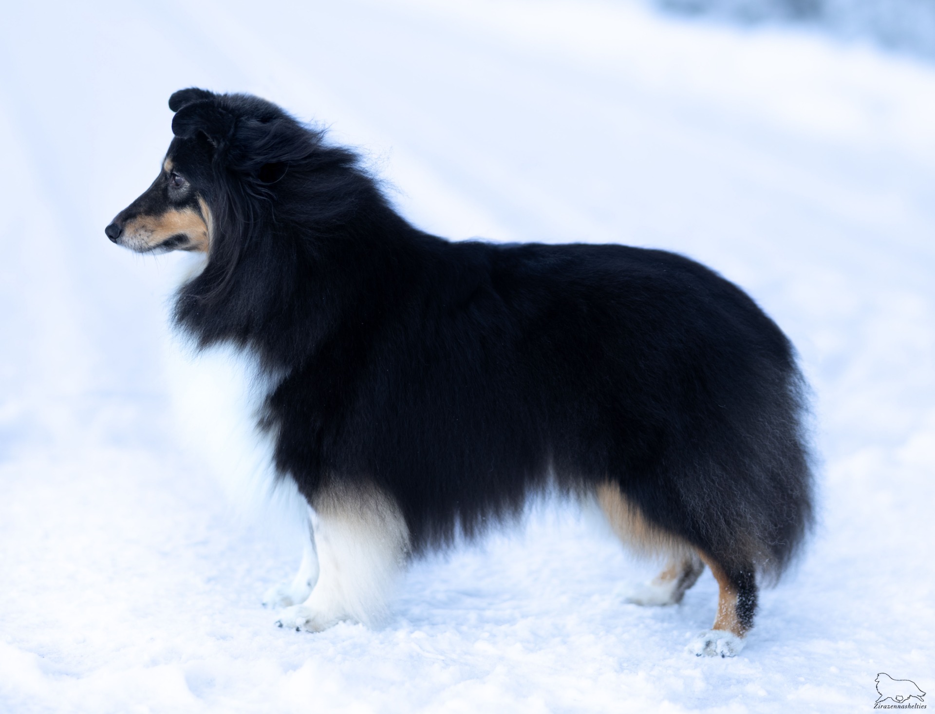 Kuvaaja: Anna-Mari Piisku